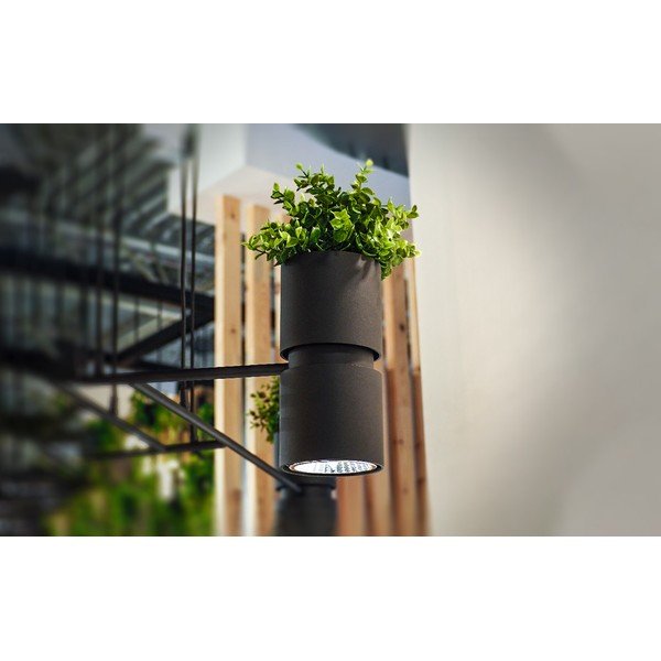 Melna alumīnija sienas lampa KUKKIA – Thoro-image-1