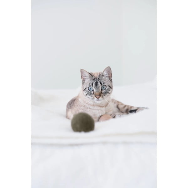 Kaķu rotaļlietas komplektā (3 gab.) Globo Nougat – MiaCara-image-3