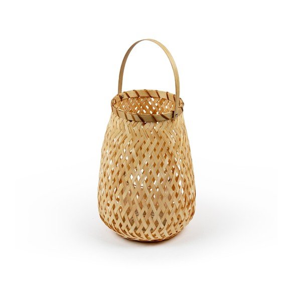 Bambusa laterna Compactor Bambusa laterna, ⌀ 18 cm-image-2