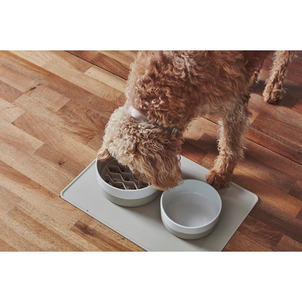 Porcelāna mājdzīvnieku bļodiņa suņiem ø 21,5 cm Coppa Greige M/L – MiaCara-image-3