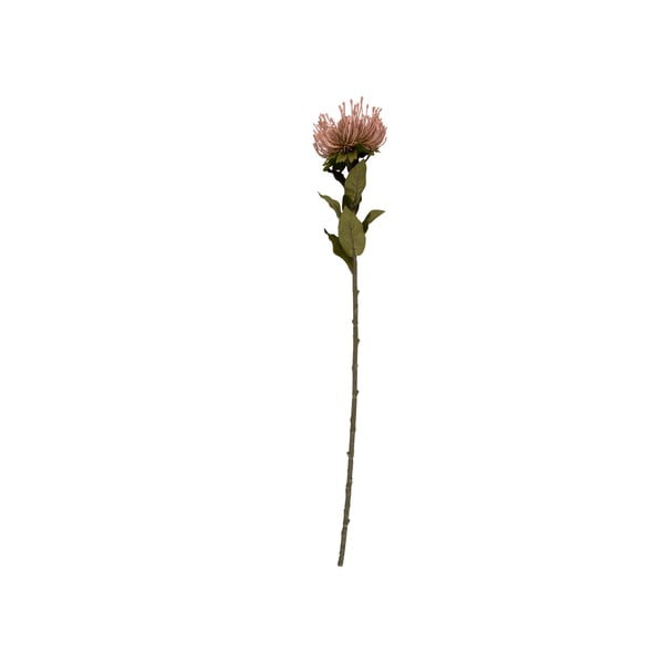 Mākslīgais augs (augstums 73 cm) Protea – PT LIVING