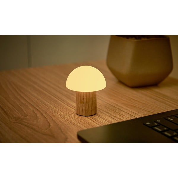 Dabīga toņa oša masīvkoka LED galda lampa ar regulējamu spilgtumu (augstums 7 cm) Alice – Gingko