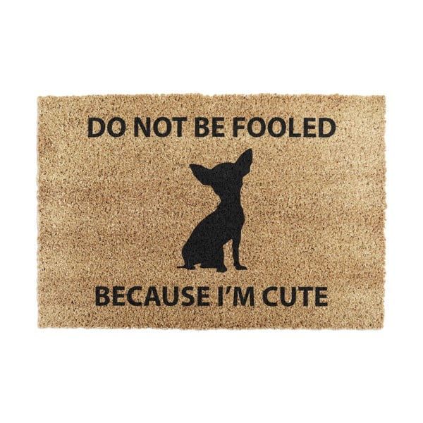 Kokosšķiedras kājslauķis 40x60 cm Chihuahua – Artsy Doormats