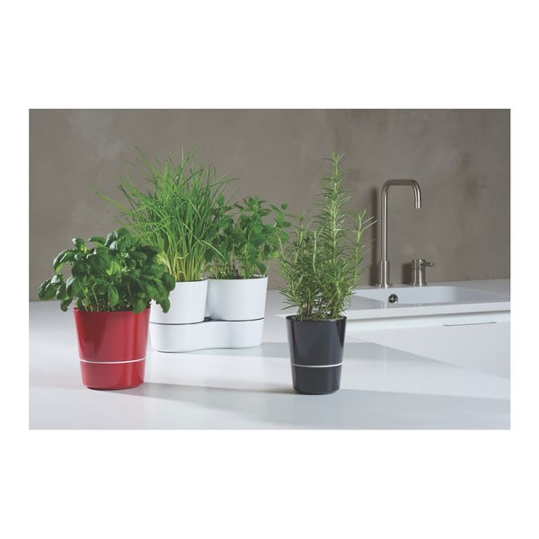 Pelēks garšaugu podiņš Mepal Hydro Herbs-image-3