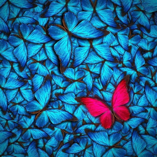 Stikla glezna Insigne Azul Butterfly, 30 x 30 cm