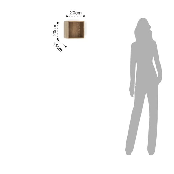 Koka plaukts Tomasucci Billa, 20 x 15 x 20 cm-image-2