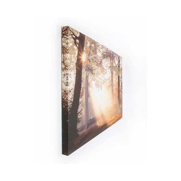 Attēls Graham & Brown Metallic Forest, 80 x 60 cm-image-2