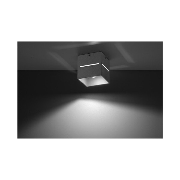 Sollux Lorum pelēks griestu gaisma-image-2