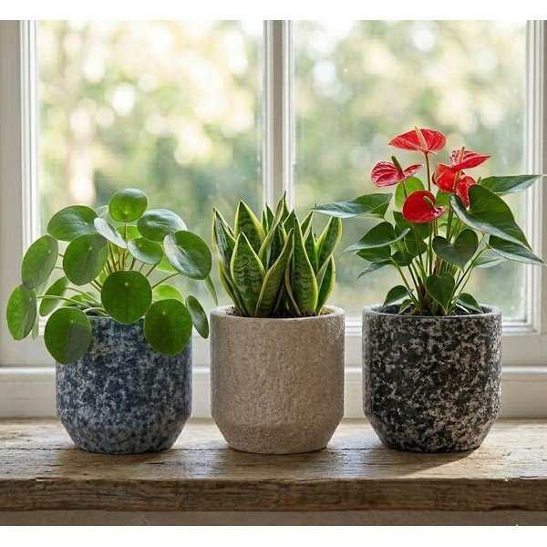 Keramikas ar rokām radīts puķu poda apvalks ø 14 cm Almada – Ego Dekor-image-1