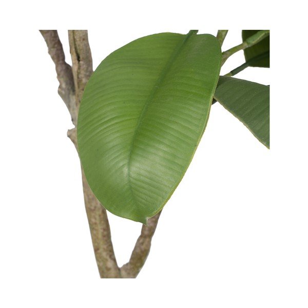 Mākslīgais augs (augstums 116 cm) Oak Tree – Ixia-image-2