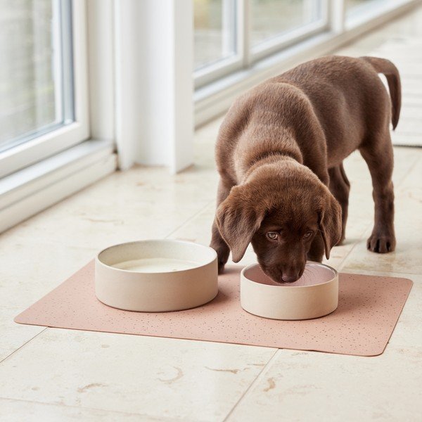 Keramikas mājdzīvnieku bļodiņa suņiem ø 13 cm Sia – OYOY Living Design-image-2