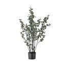 Mākslīgais eikalipts (augstums 117 cm) – Bloomingville