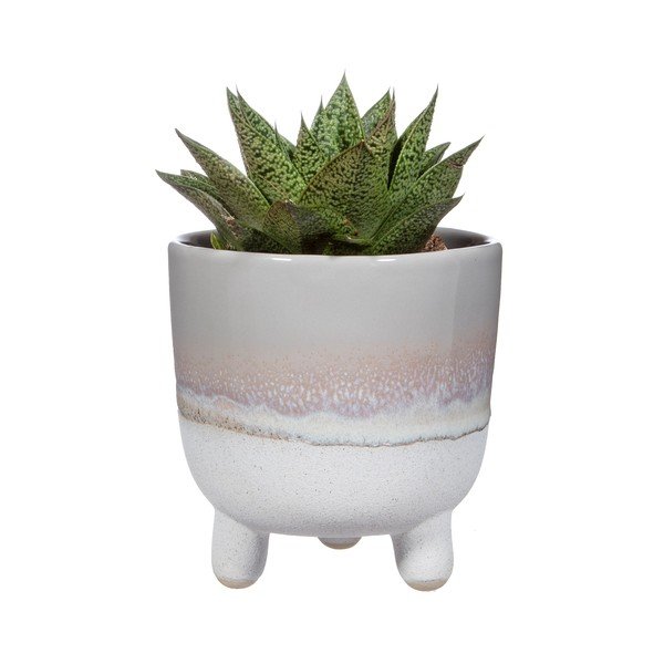 Pelēks puķu pods Sass & Belle Bohemian Home Mojave, ø 11,7 cm-image-2