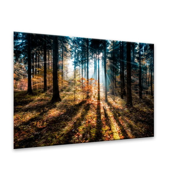 Attēls Styler Glasspik Autumn Sunset, 70 x 100 cm-image-2