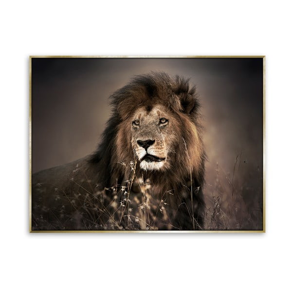 Glezniecība uz audekļa Styler Zelta lauva, 115 x 87 cm