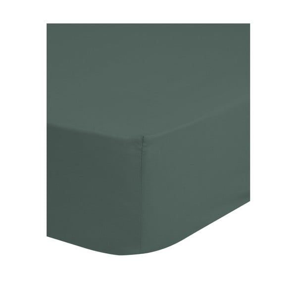 Zaļš/pelēks kokvilnas palags ar gumiju 180x200 cm – Good Morning-image-1