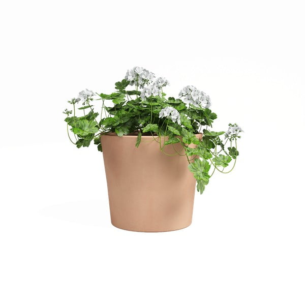 Terakotas puķu pods ø 24 cm Manuel – Artevasi-image-1