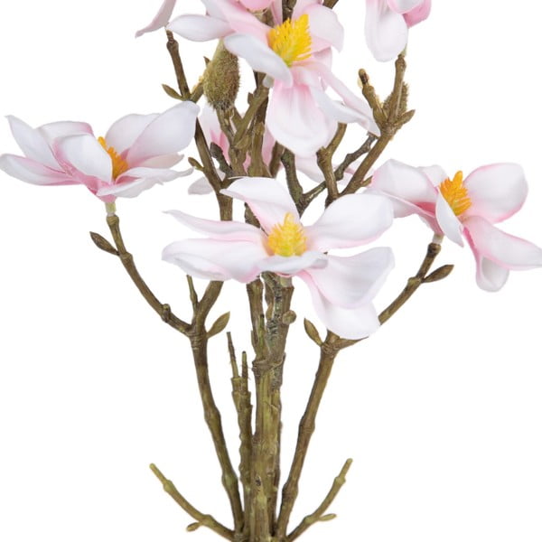 Mākslīgais augs (augstums 41 cm) Magnolia – Ixia-image-1