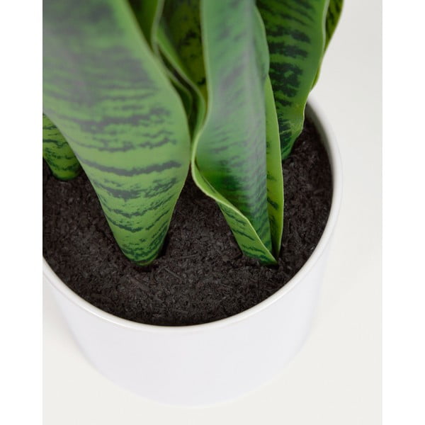 Mākslīgais augs (augstums 55 cm) Sansevieria – Kave Home-image-4