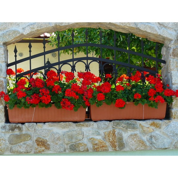 Brūns pašapūdeņojošs puķu pods Plastia Siesta, garums 80 cm-image-1