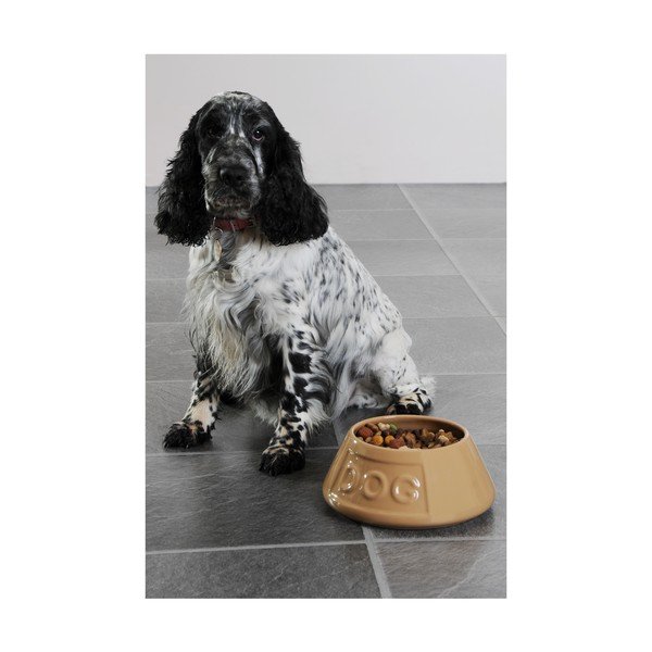 Māla ūdens bļoda suņiem Mason Cash Pet Cane, ø 21 cm-image-2