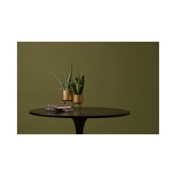 Zeltīts puķu pods WOOOD Guus, Ø 13 cm-image-3