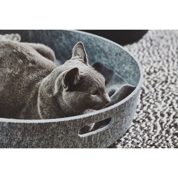 Uzglabāšanas tekstila grozs ø 46x12 cm Cesto Concrete – MiaCara-image-3