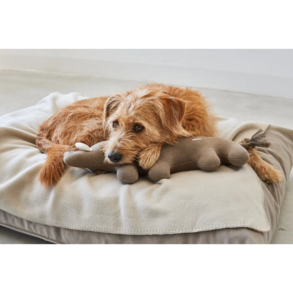 Rotaļlieta suņiem Bosco Boar – MiaCara-image-3