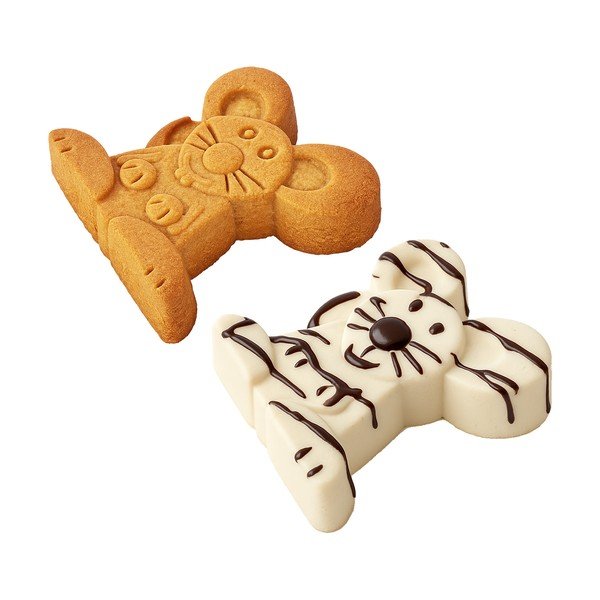 Silikona cepšanas forma 20x20 cm Statek – Orion-image-1