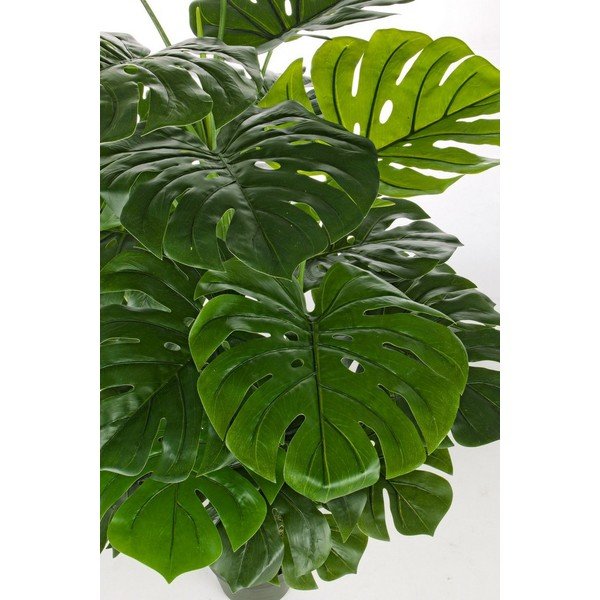 Mākslīgā monstera (augstums 120 cm) Philodendron – Bizzotto-image-2