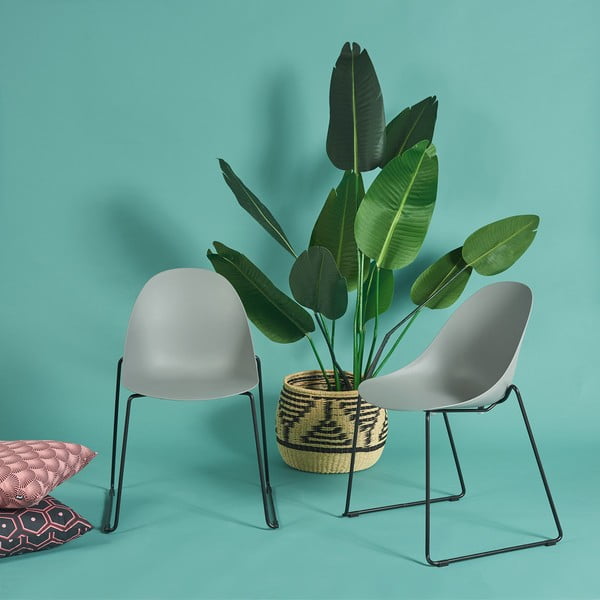 2 pelēku ēdamistabas krēslu komplekts ar melnām kājām Bonami Selection Viva-image-1