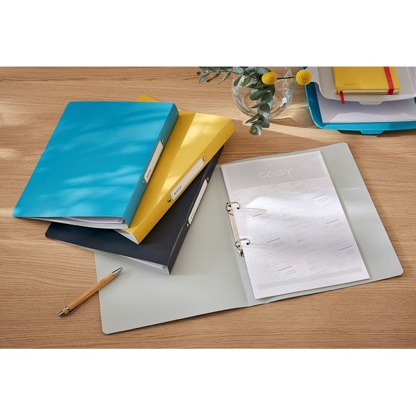 Zila dokumentu mape Leitz Cosy-image-1