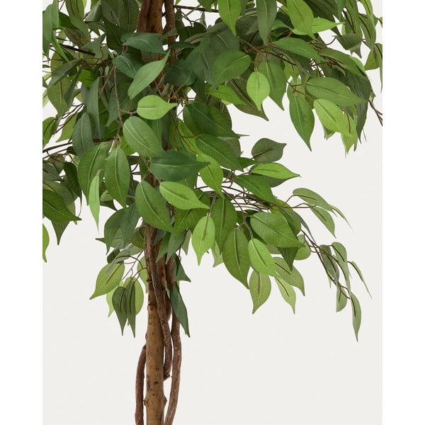 Mākslīgais fikuss (augstums 180 cm) Ficus – Kave Home-image-1