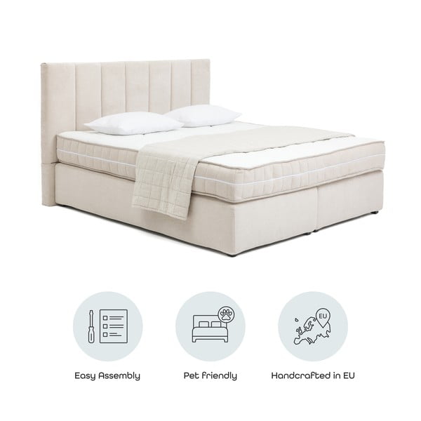 Bēša atsperu gulta 180x200 cm Olia Bold Line – Bonami Selection-image-4