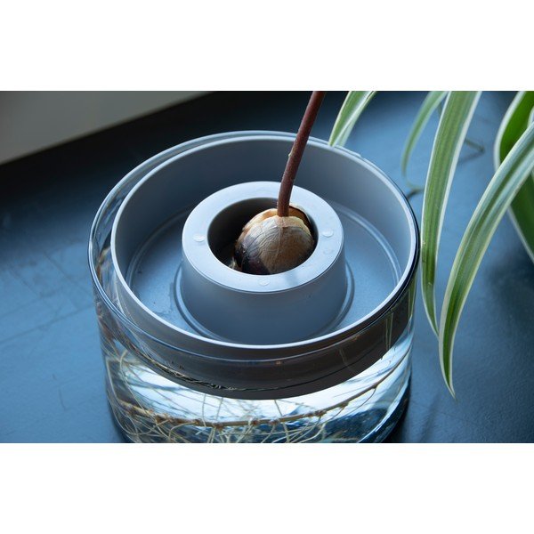 Stikla diedzēšanas trauks ø 14 cm Avocado – Esschert Design-image-1