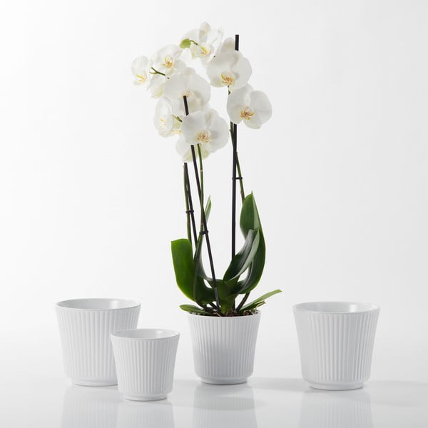 Balts keramikas puķu pods Big Pots Gloss, ø 12 cm-image-1