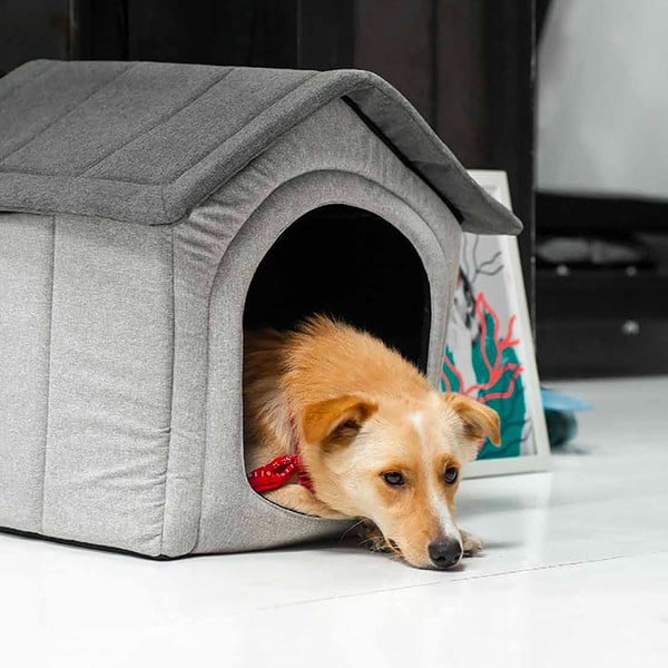 Gaiši pelēka suņu būda 52x53 cm Home XL – Rexproduct-image-4