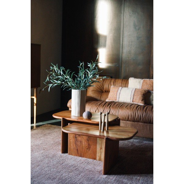 Dabīga toņa akācijas masīvkoka žurnālgaldiņš 50x75 cm Feller – Dutchbone-image-1