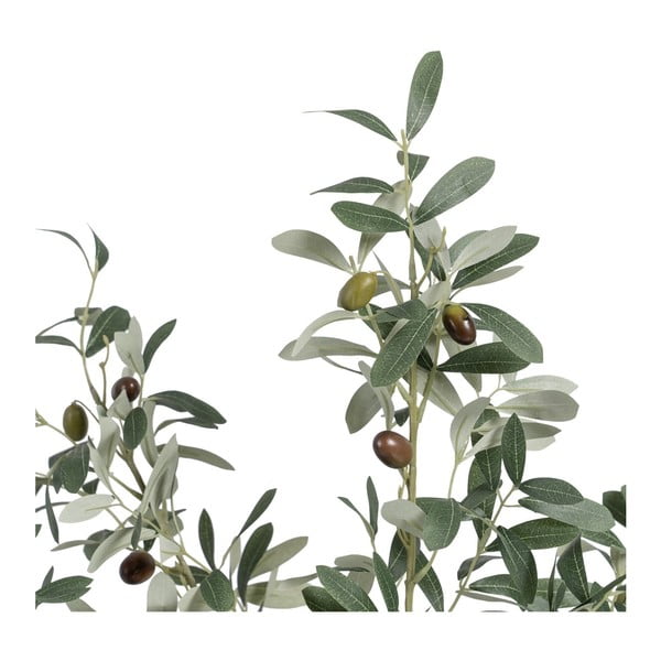 Mākslīgais olīvkoks (augstums 78 cm) Olive Tree – Ixia-image-1