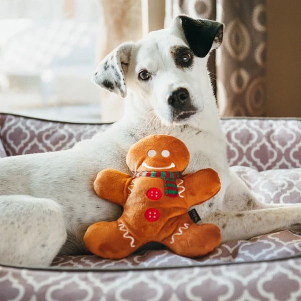 Rotaļlieta sunim Piparkūku vīriņš - P.L.A.Y.-image-1