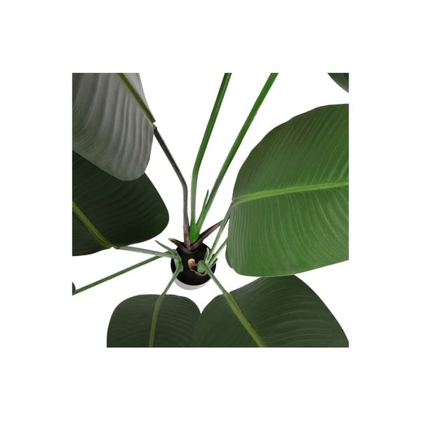 Mākslīgā strelīcija (augstums 164 cm) – WOOOD-image-3