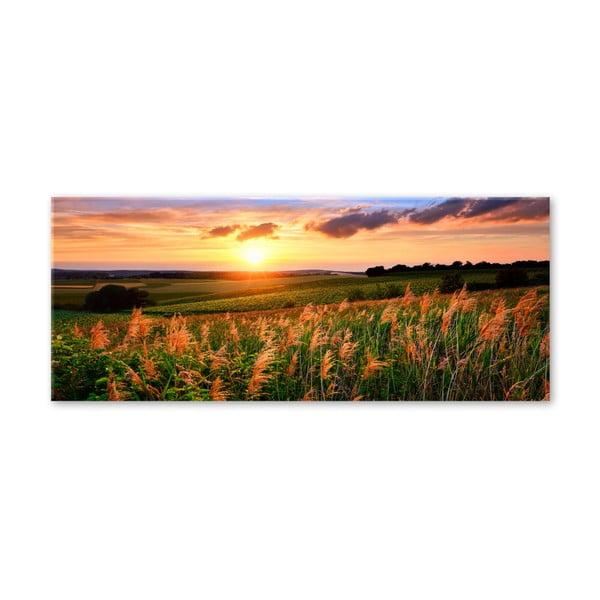 Image Styler Glas Sunset Meadow, 50 x 125 cm