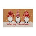 Kokosšķiedras kājslauķis ar Ziemassvētku motīvu 40x70 cm Christmas Gnomes – Hanse Home