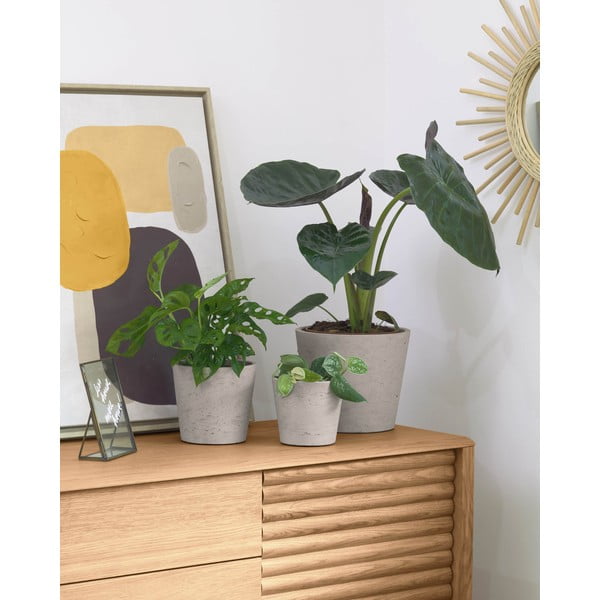 Betona puķu podi (3 gab.) ø 23,5 cm Low – Kave Home-image-1