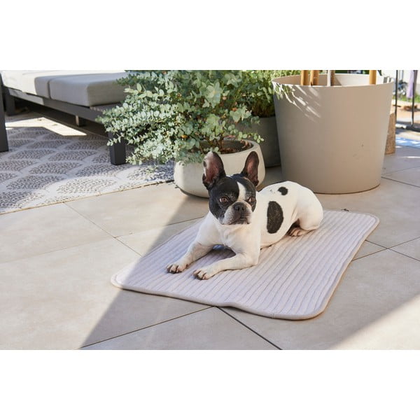 Pelēka kokvilnas sega suņiem 90x120 cm Onda Pebble L – MiaCara-image-1