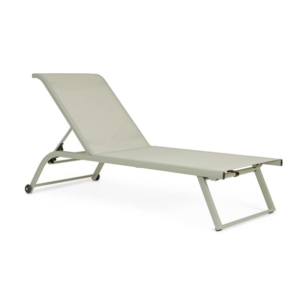 Pelēkbrūns metāla dārza zvilnis Taylor – Bizzotto