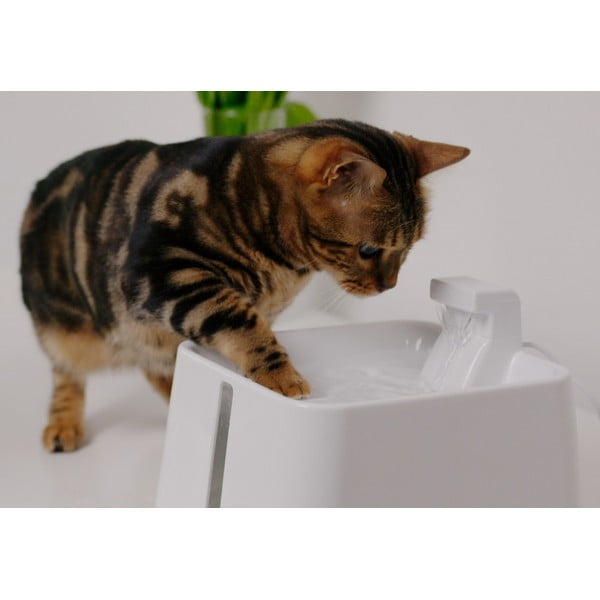 Dzeršanas strūklaka mājdzīvniekiem Epic Pet Zen – Plaček Pet Products-image-1