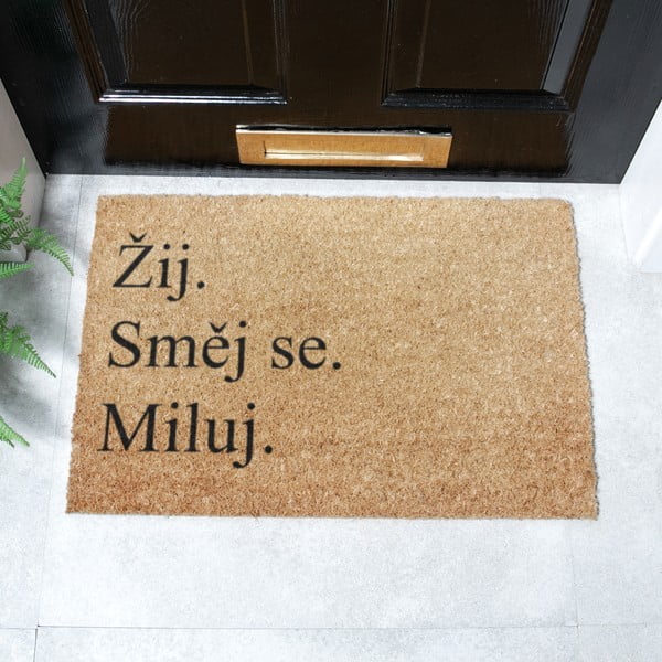 Kokosšķiedras kājslauķis 40x60 cm Žij a Miluj – Artsy Doormats-image-2