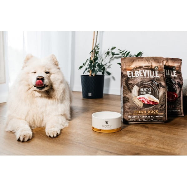 Keramikas bļodiņa suņiem ø 16 cm Dog Fantasy WOOF – Plaček Pet Products-image-1