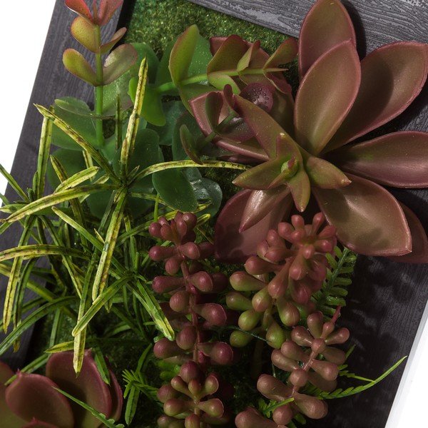 2 piekaramo dekoru komplekts augoša Unimasa kaktusa formā-image-1